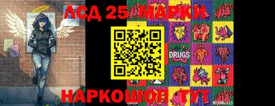 мяу мяу мука Аргун