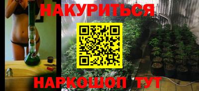 мяу мяу мука Аргун