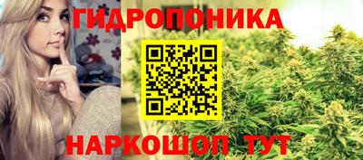 мяу мяу мука Аргун