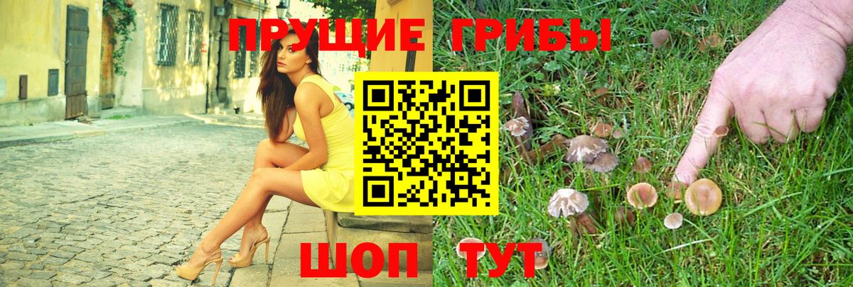 Псилоцибиновые грибы Psilocybine cubensis  Вход с VPN  Галлюциногенные грибы Magic Shrooms  как найти закладки  Алушта 